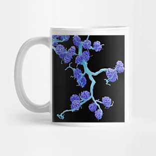 Kidney glomeruli, SEM (C026/0501) Mug